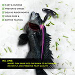 Ike Jime Fish Spike